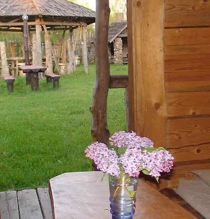 Tammekaennu Kaempingud